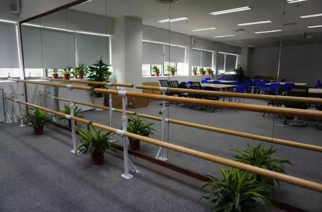 小鸟体育舒悦瑜伽社正式开班啦! 小鸟体育舒悦瑜伽社正式开班啦!